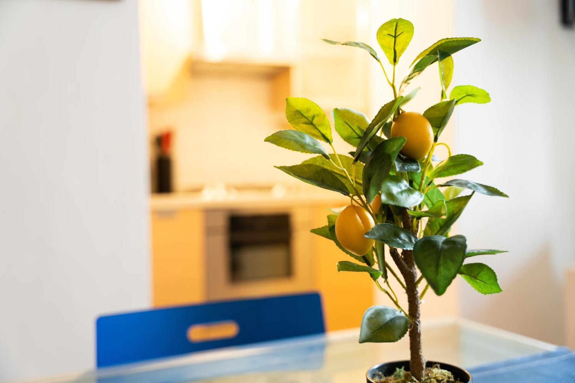 Nice Quiet Flat In Pta Venezia 米兰 外观 照片